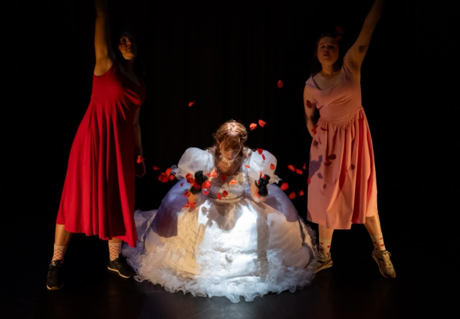 Capture d’écran 2026-02-05 111114